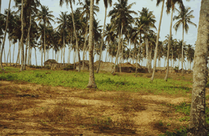 Le Village d'Agoué — Le Bénin
