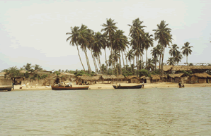 La balade en Pirogue — Le Bénin