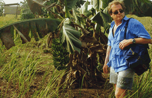 La Bananeraie — Le Bénin