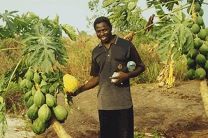 La Ferme intégrée de Camille — Le Bénin