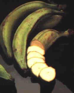 La Bananeraie — Le Bénin