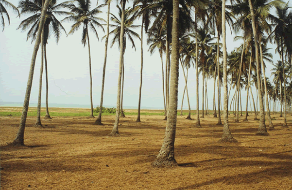 Le Village d'Agoué — Le Bénin
