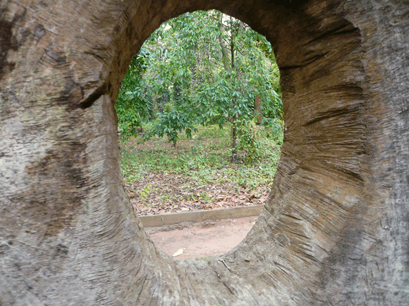 Le jardin des plantes et de la nature — Bénin et Togo