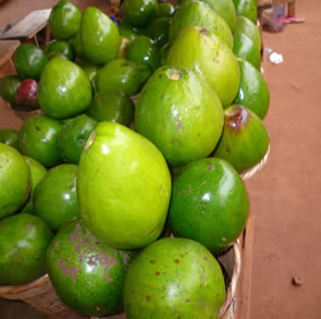 Retour à Agbodrafo — Bénin et Togo