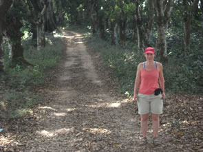 Ascension du mont Kloto — Bénin et Togo