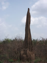 Direction Kpalimé — Bénin et Togo