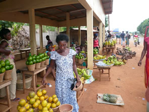 Retour à Agbodrafo — Bénin et Togo