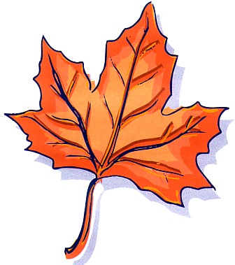 Le Canada : terre de contrastes — souvenir du voyage au Canada