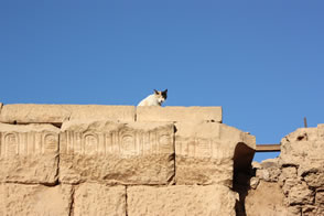 Kom Ombo — L’Égypte
