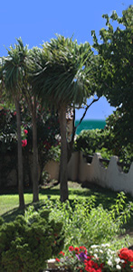 Le jardin de Marie en été