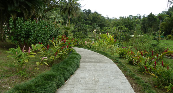 Le Domaine d'émeraude ... Un havre de paix ... — La Martinique