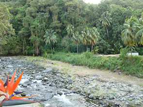 Grand-Rivière, "le Bout du Bout" — La Martinique