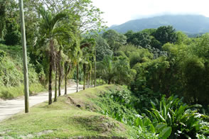 Distillerie des rhums JM. — La Martinique