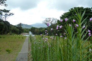 Le Domaine d'émeraude ... Un havre de paix ... — La Martinique