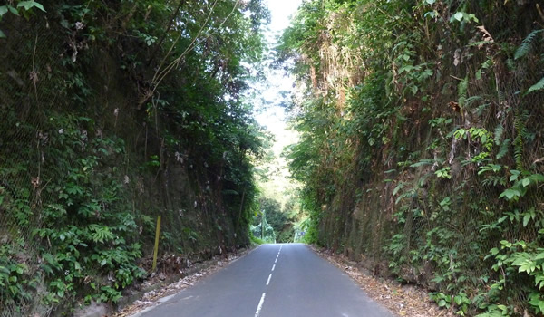 En quittant Macouba — La Martinique