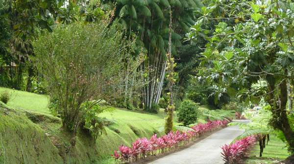 Le Domaine d'émeraude ... Un havre de paix ... — La Martinique