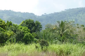 Sur la route ... — Rencontres africaines