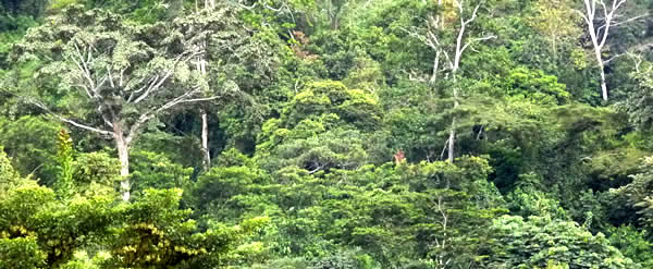 Sur la route ... — Rencontres africaines