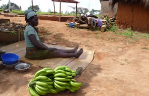 Sur la route de Danyi-Apéyémé — Rencontres africaines